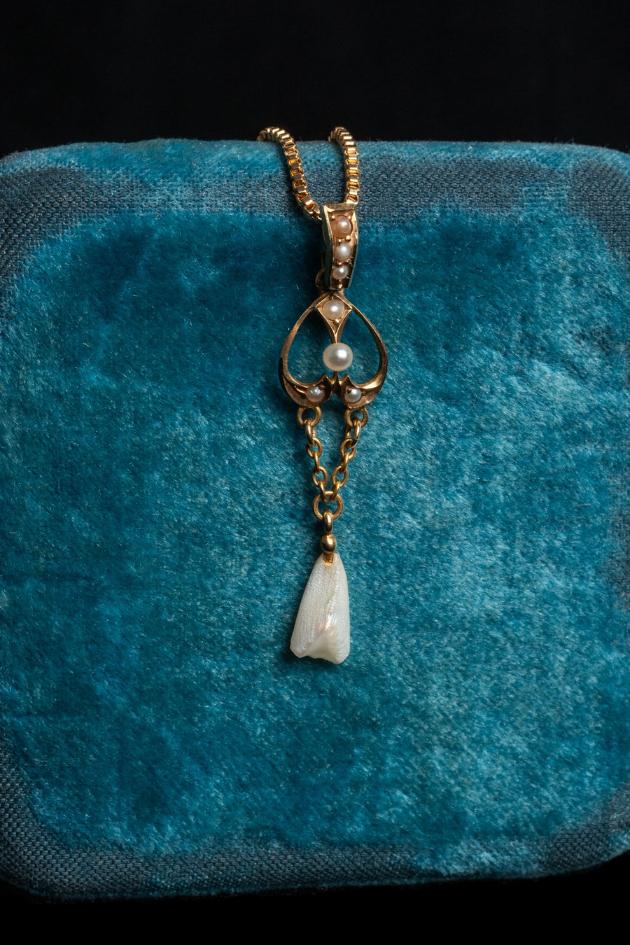 c1900 14k Pearl Lavalier Necklace