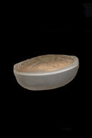 1920s Gold Reverse Painted Glass Trinket Box