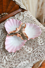 Antique Hand Painted Porcelain Pink Shell Catchalls
