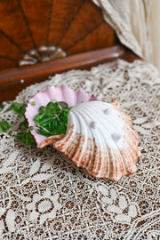 Antique Hand Painted Porcelain Pink Shell Catchalls